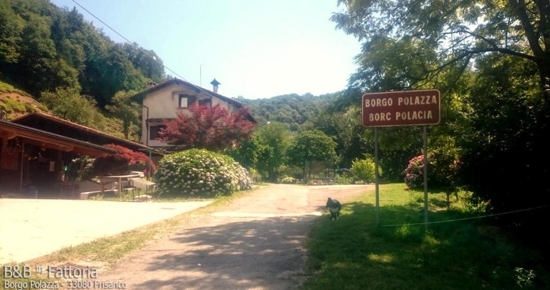 Photo of Others in Frisanco