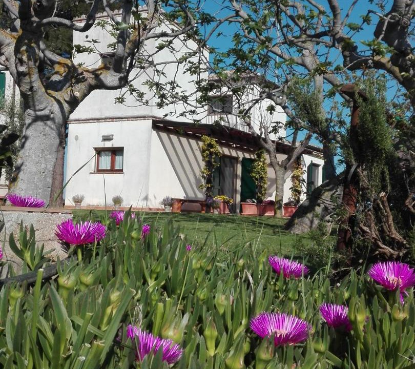 Photo of Buildings in Potenza Picena