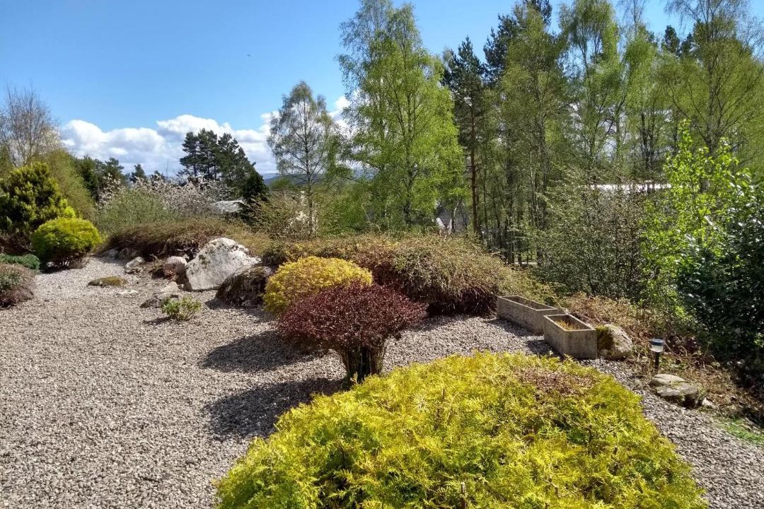 Photo of Outdoor in Boat of Garten