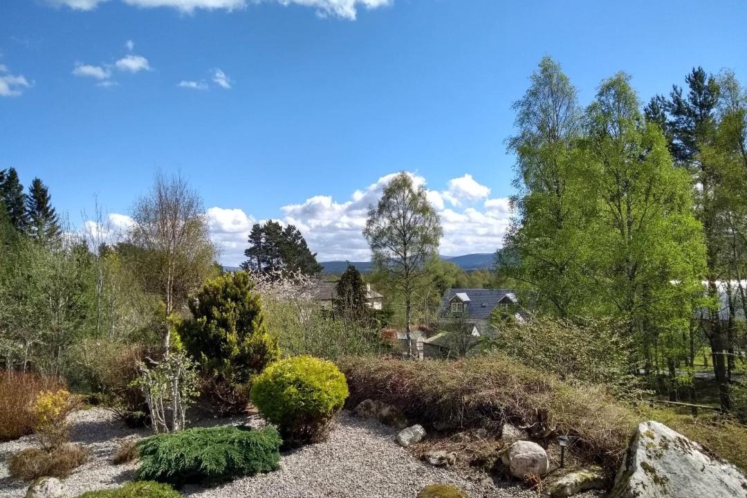 Photo of Outdoor in Boat of Garten