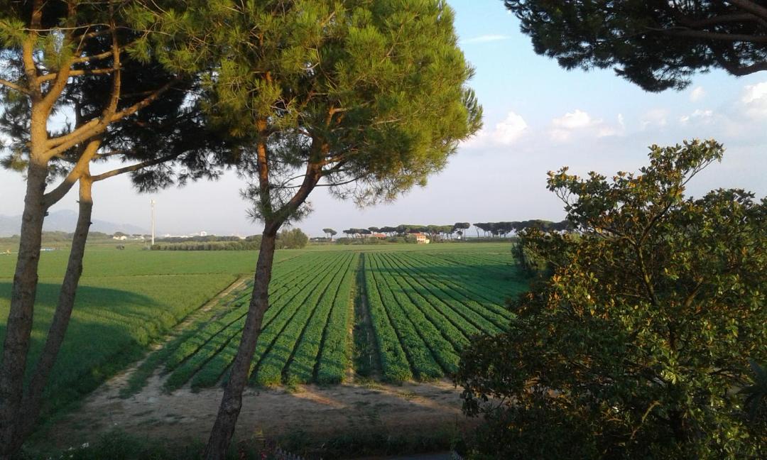 Photo of Outdoor in Fiumaretta