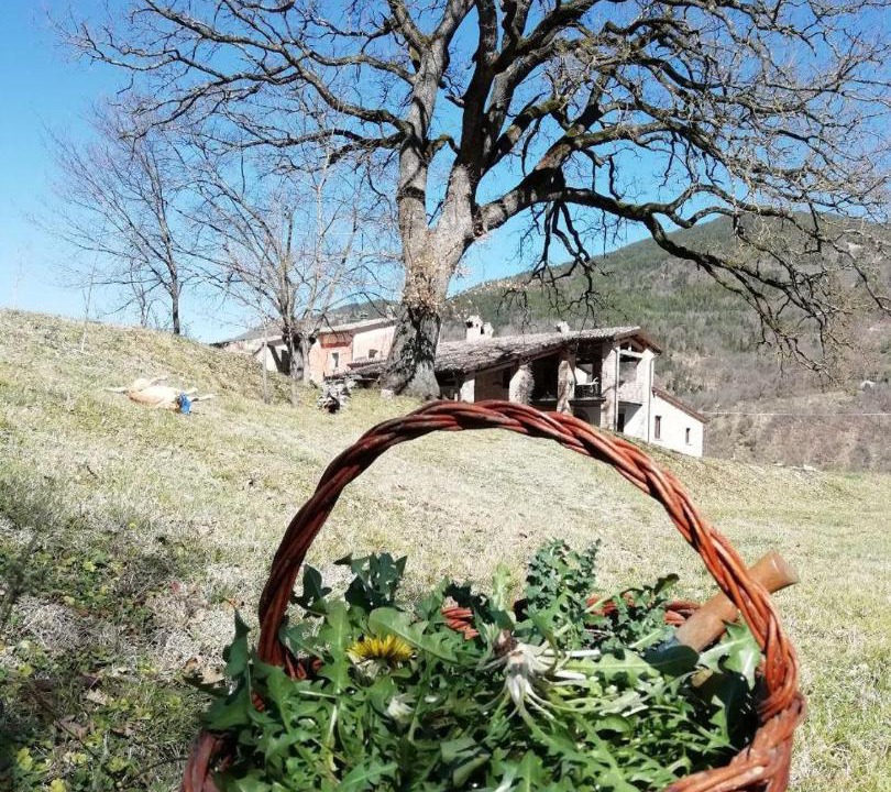 Photo of Others in Furlo