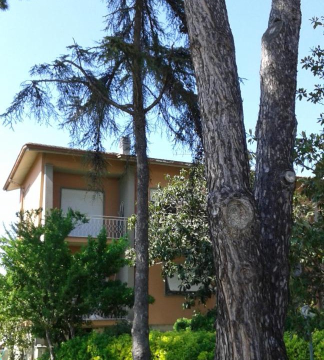 Photo of Buildings in Fiumaretta