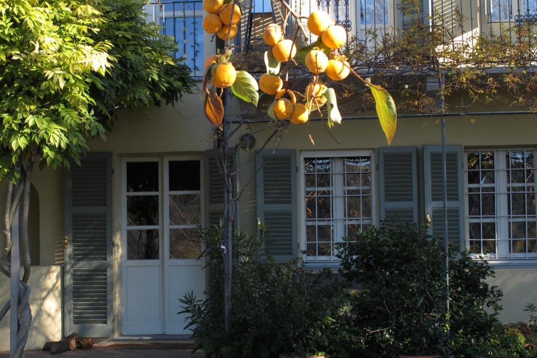 Photo of Buildings in Cocconato