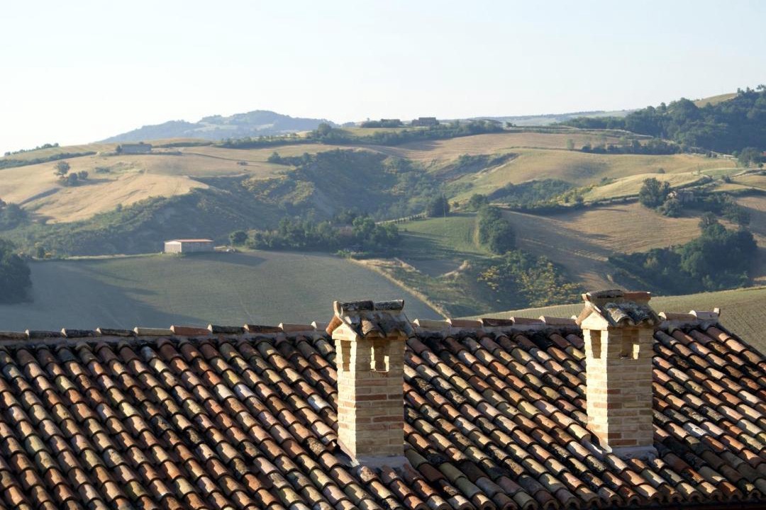 Photo of Others in Urbino