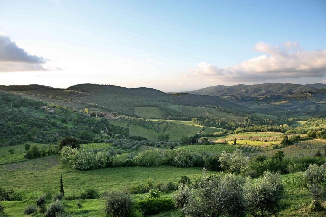 Photo of Others in Panzano in Chianti