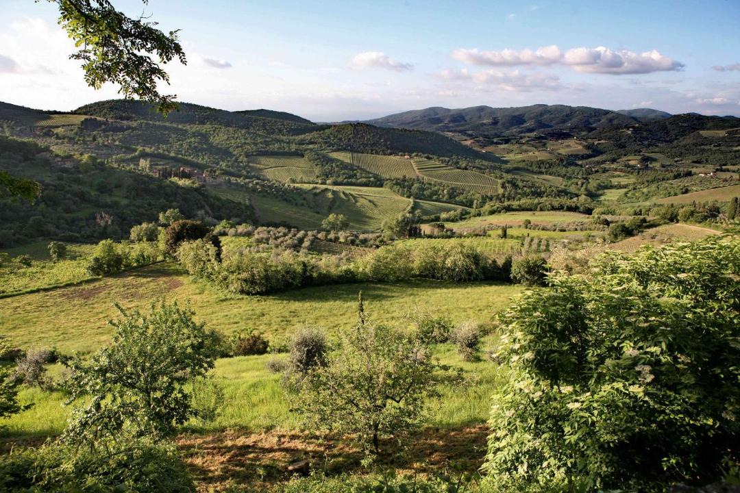 Photo of Others in Panzano in Chianti