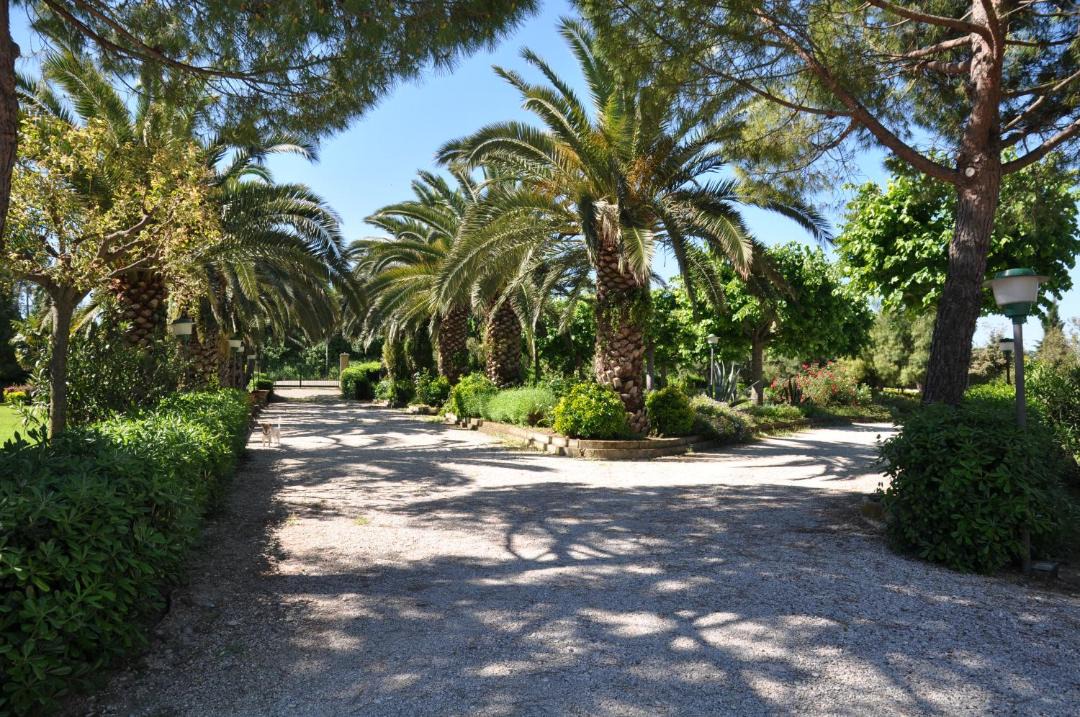 Photo of Outdoor in Porto San Giorgio