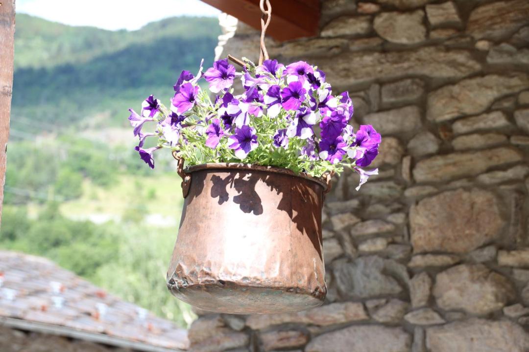 Photo of Others in La Cretaz-Roisan