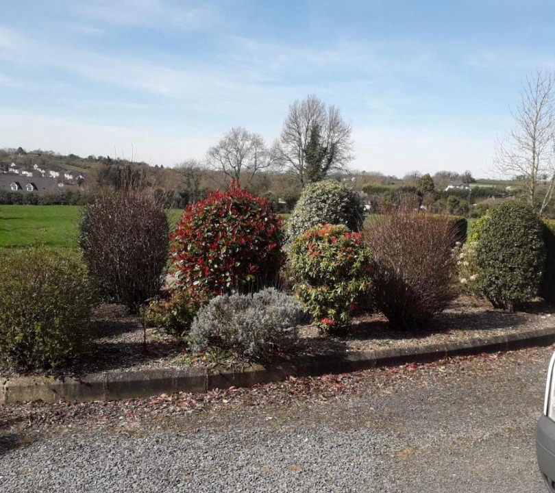 Photo of Others in Coalisland