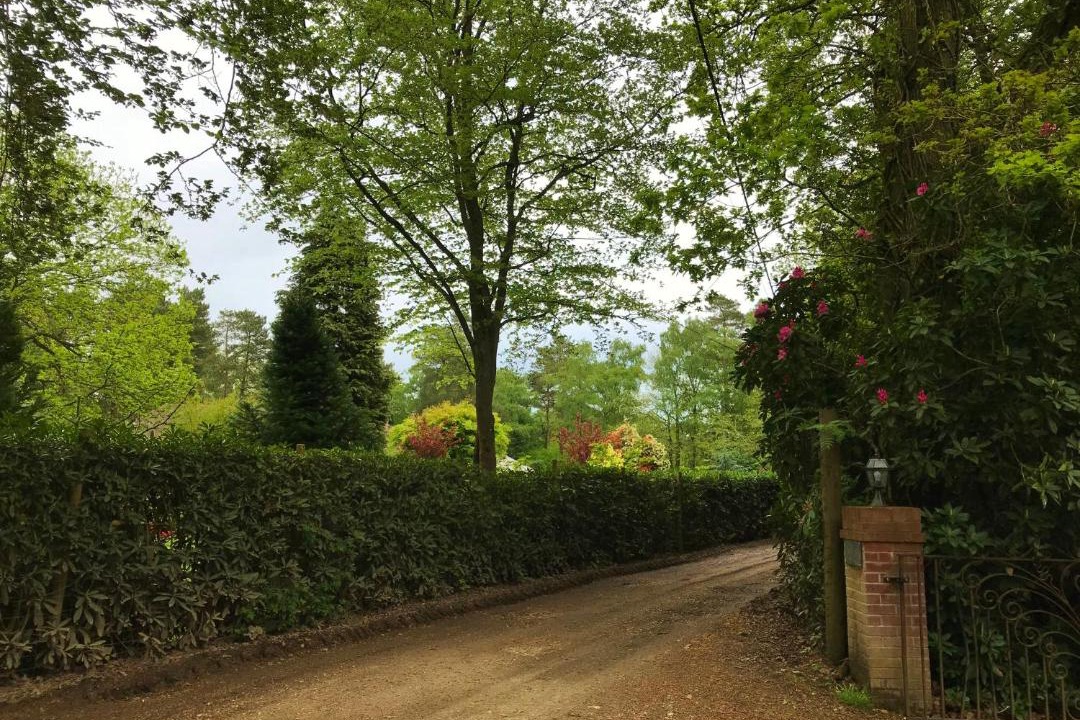 Photo of Outdoor in New Forest District