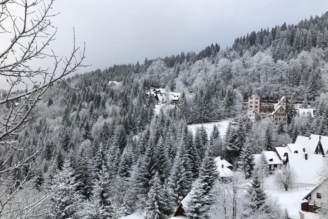 Photo of Others in Kopaonik