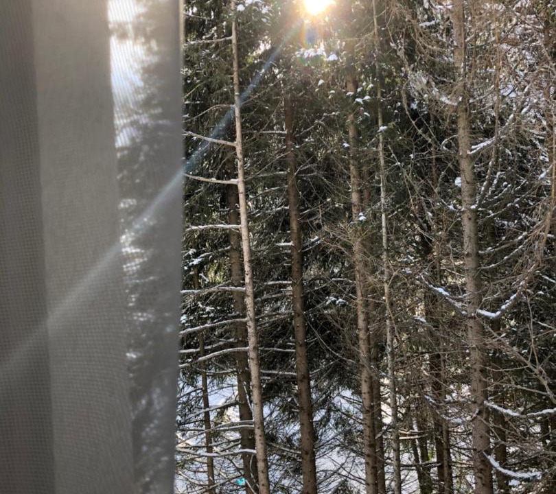 Photo of Others in Kopaonik