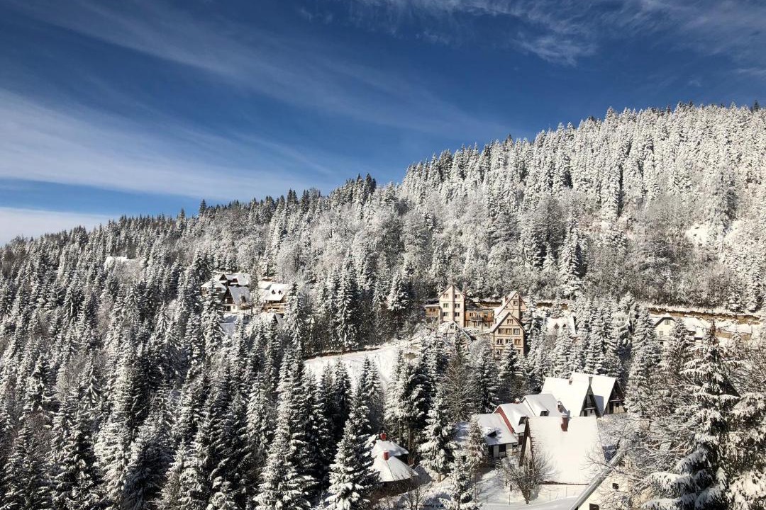 Photo of Others in Kopaonik