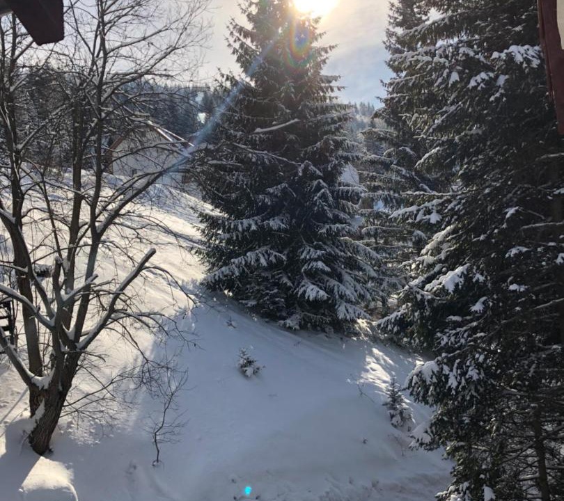 Photo of Others in Kopaonik