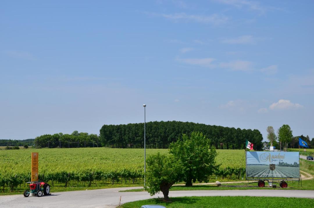 Photo of Others in Muzzana del Turgnano