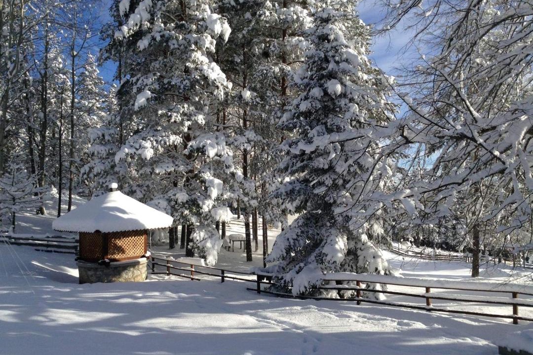 Photo of Buildings in Beserovina