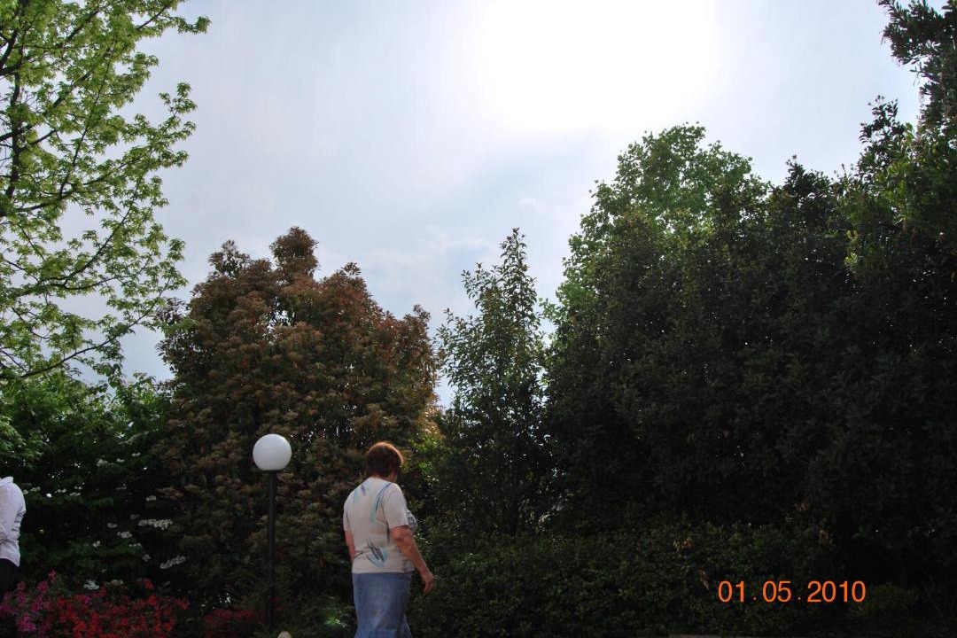 Photo of Others in Seveso