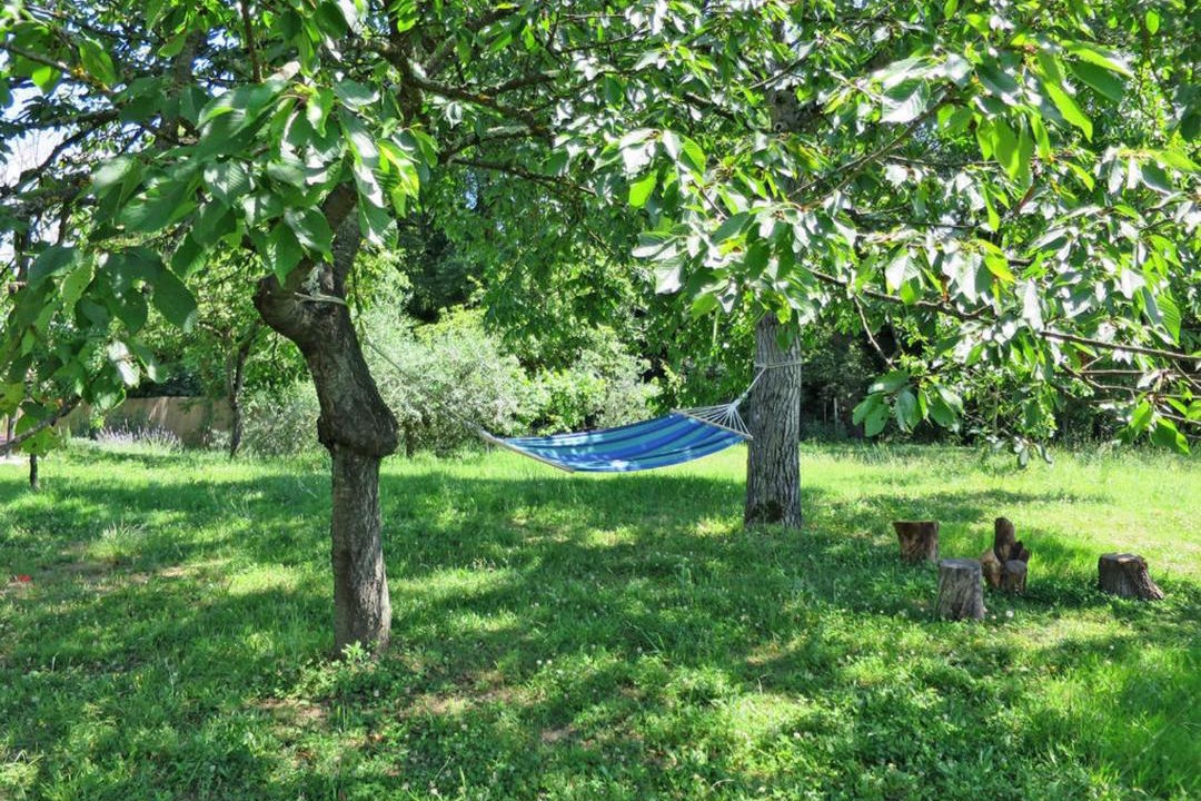 Photo of Outdoor in Laterina