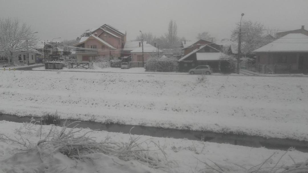 Photo of Others in Jagodina