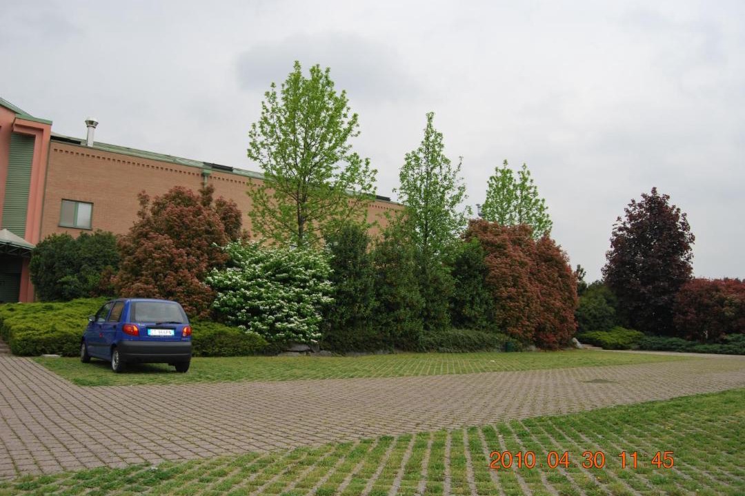 Photo of Buildings in Seveso