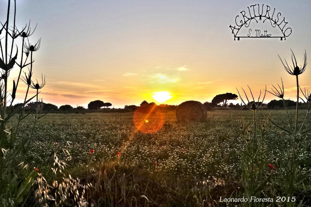 Photo of Others in Tarquinia