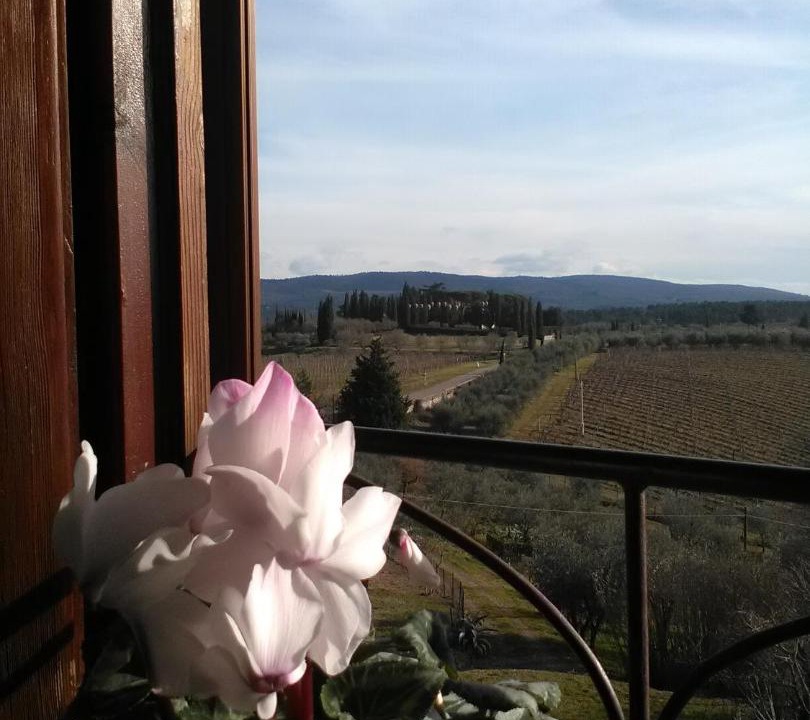 Photo of Others in San Casciano in Val di Pesa