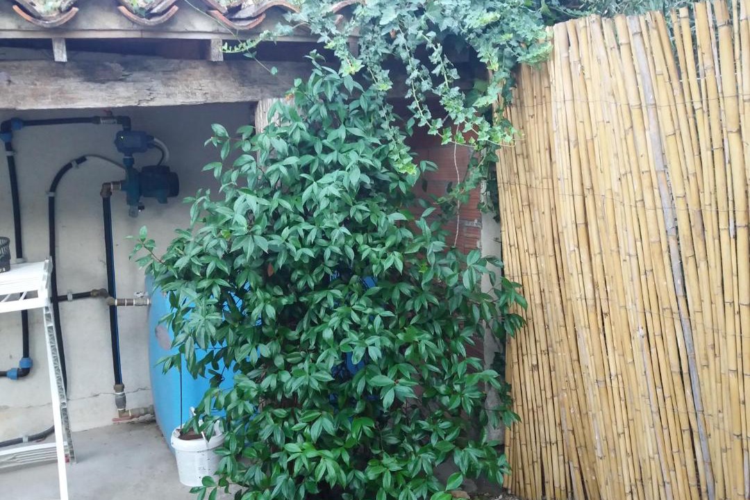 Photo of Buildings in Riola Sardo