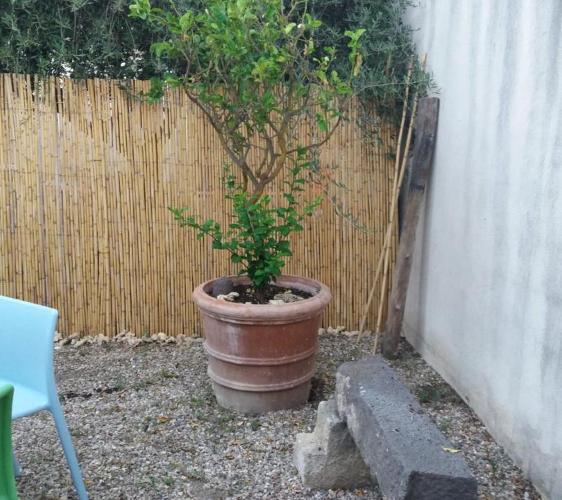 Photo of Patio Balcony in Riola Sardo