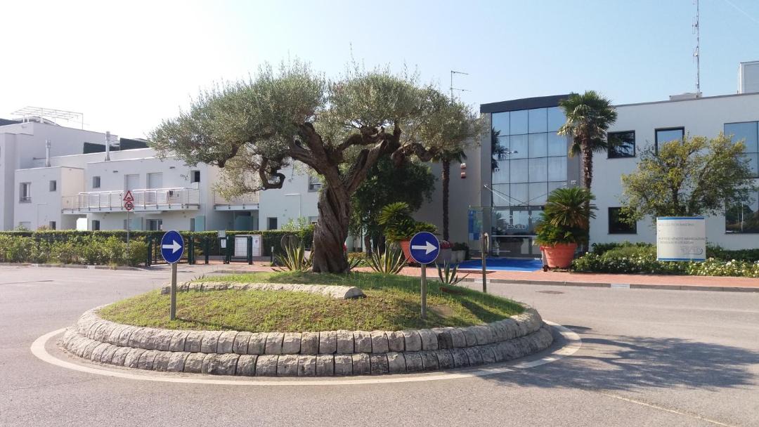 Photo of Others in Faro