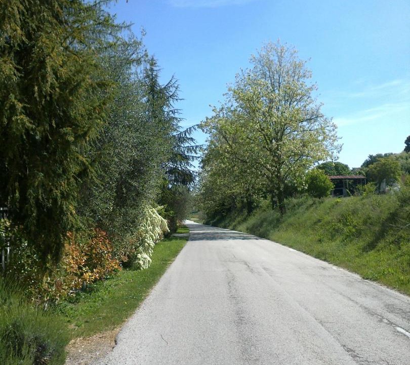 Photo of Others in Grottazzolina