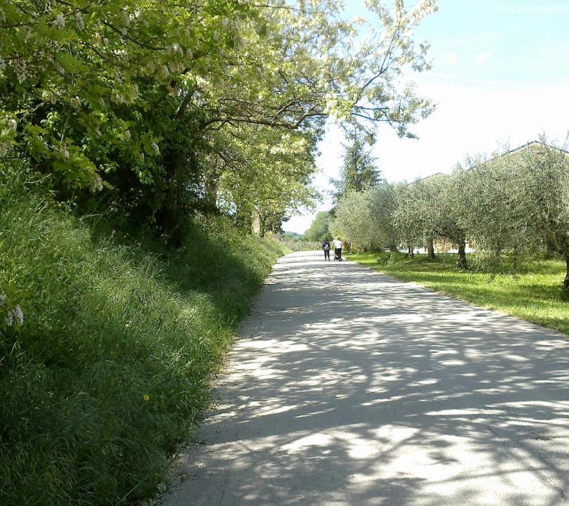 Photo of Others in Grottazzolina