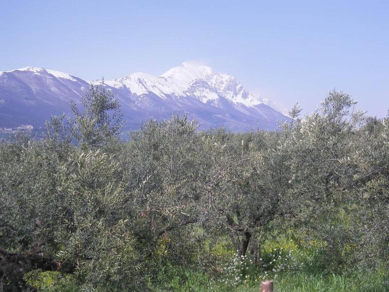 Photo of Outdoor in Loreto Aprutino