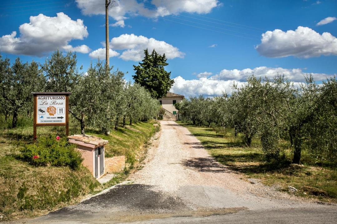 Photo of Others in Montefalco