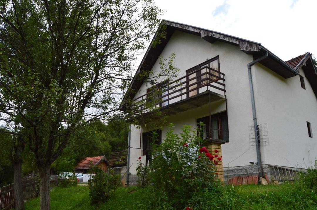 Photo of Others in Mokra Gora