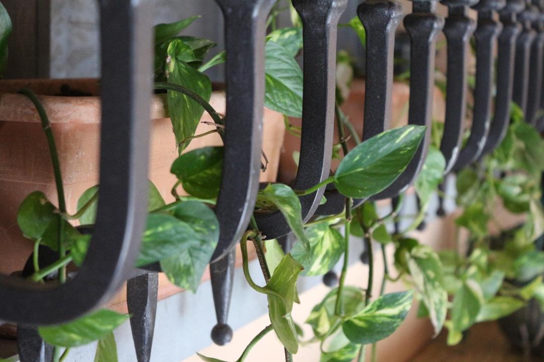 Photo of Patio Balcony in Castrezzato