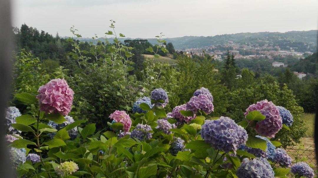Photo of Others in Acqui Terme