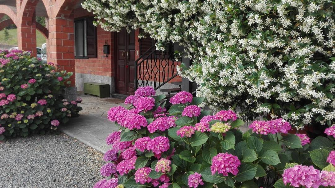 Photo of Outdoor in Acqui Terme