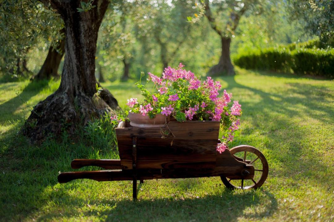 Photo of Others in Fauglia