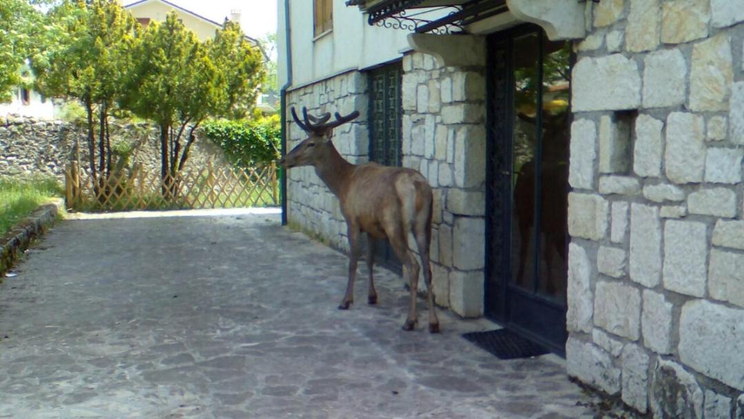 Photo of Others in Villetta Barrea