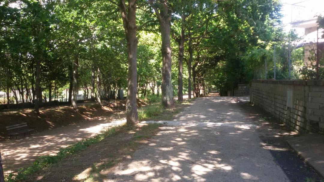 Photo of Outdoor in Poggio