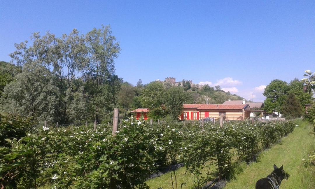 Photo of Others in Paratico