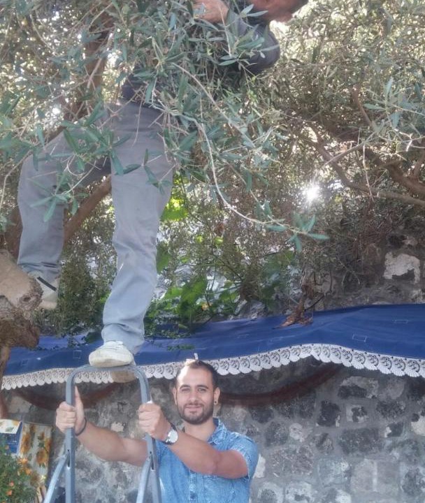 Photo of Others in Pogerola