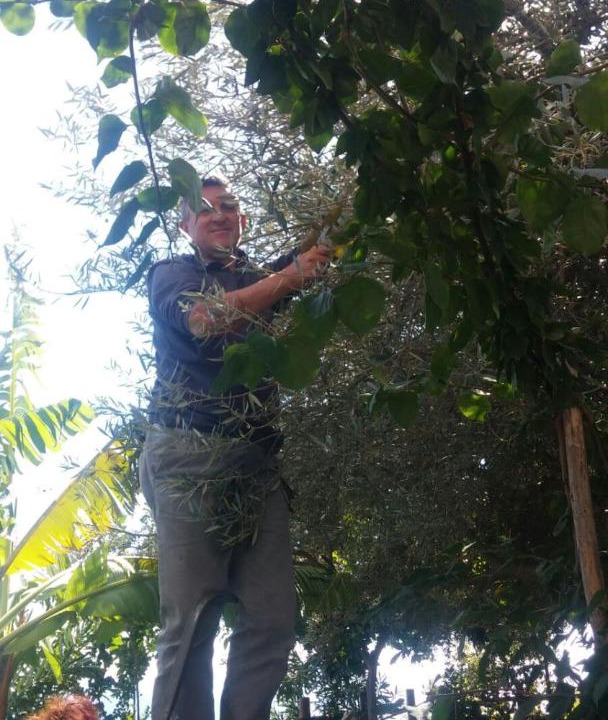 Photo of Outdoor in Pogerola