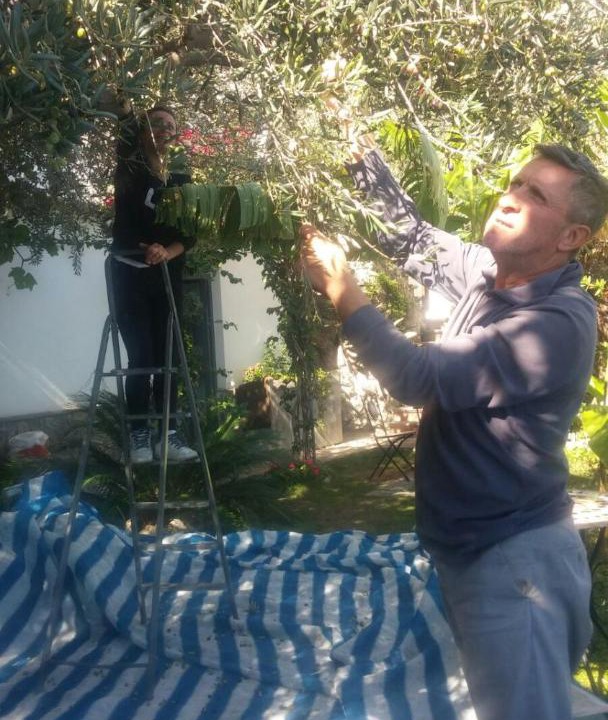 Photo of Outdoor in Pogerola