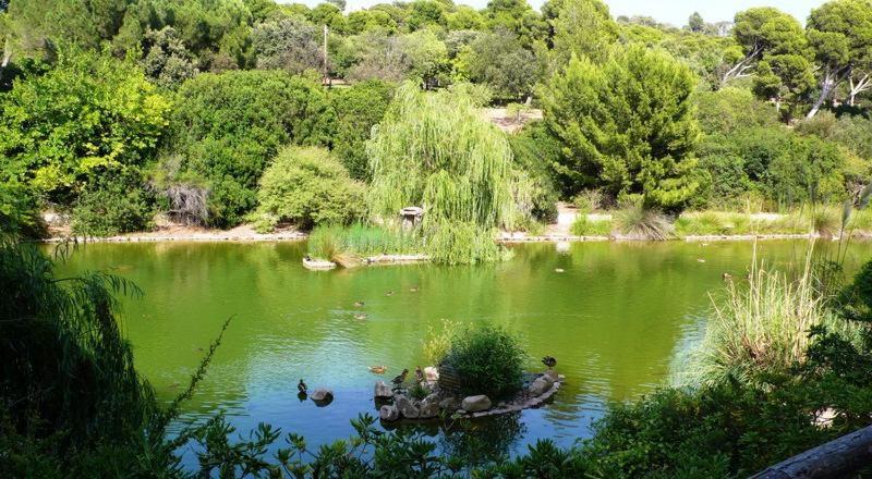 Photo of Outdoor in Province of Cagliari