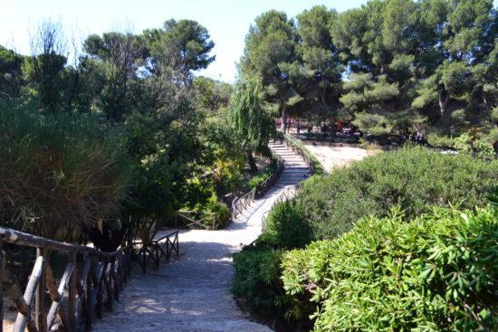 Photo of Others in Province of Cagliari