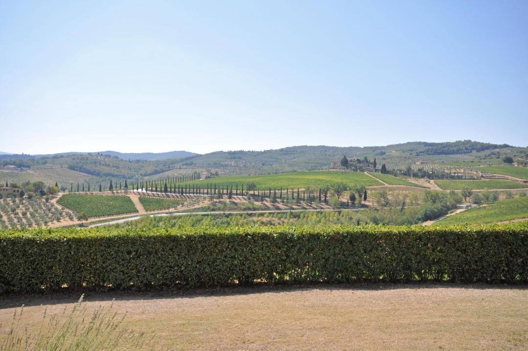Photo of Others in San Casciano in Val di Pesa