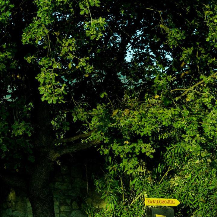Photo of Others in Cerveteri