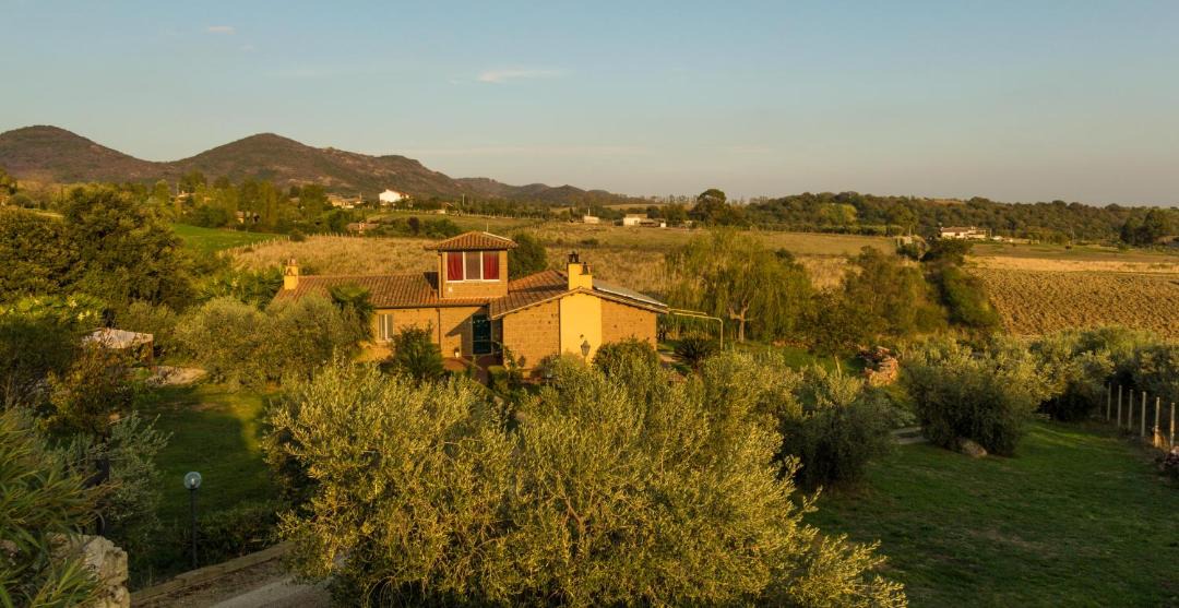 Photo of Others in Cerveteri
